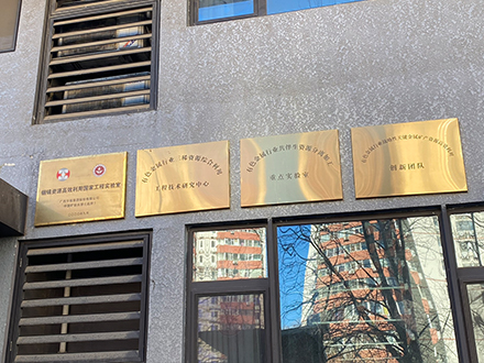 1-847.jpg